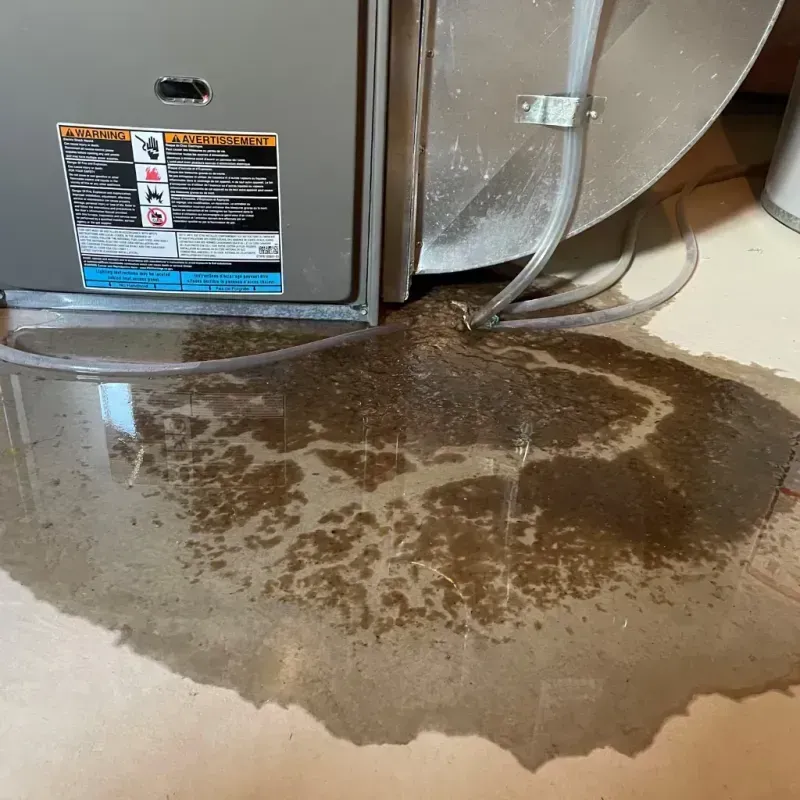 Appliance Leak Cleanup in Douglas County, NE